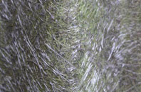 Dalebank fibreglass roof work